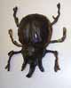 Indiana Jones and the temple of doom - Beetle